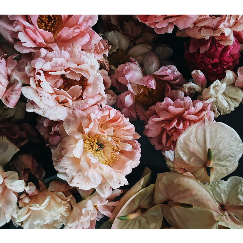 MANIFEST FLOWERS