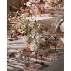 Сет бокалов Блуми Остеоспермум - изображение 6