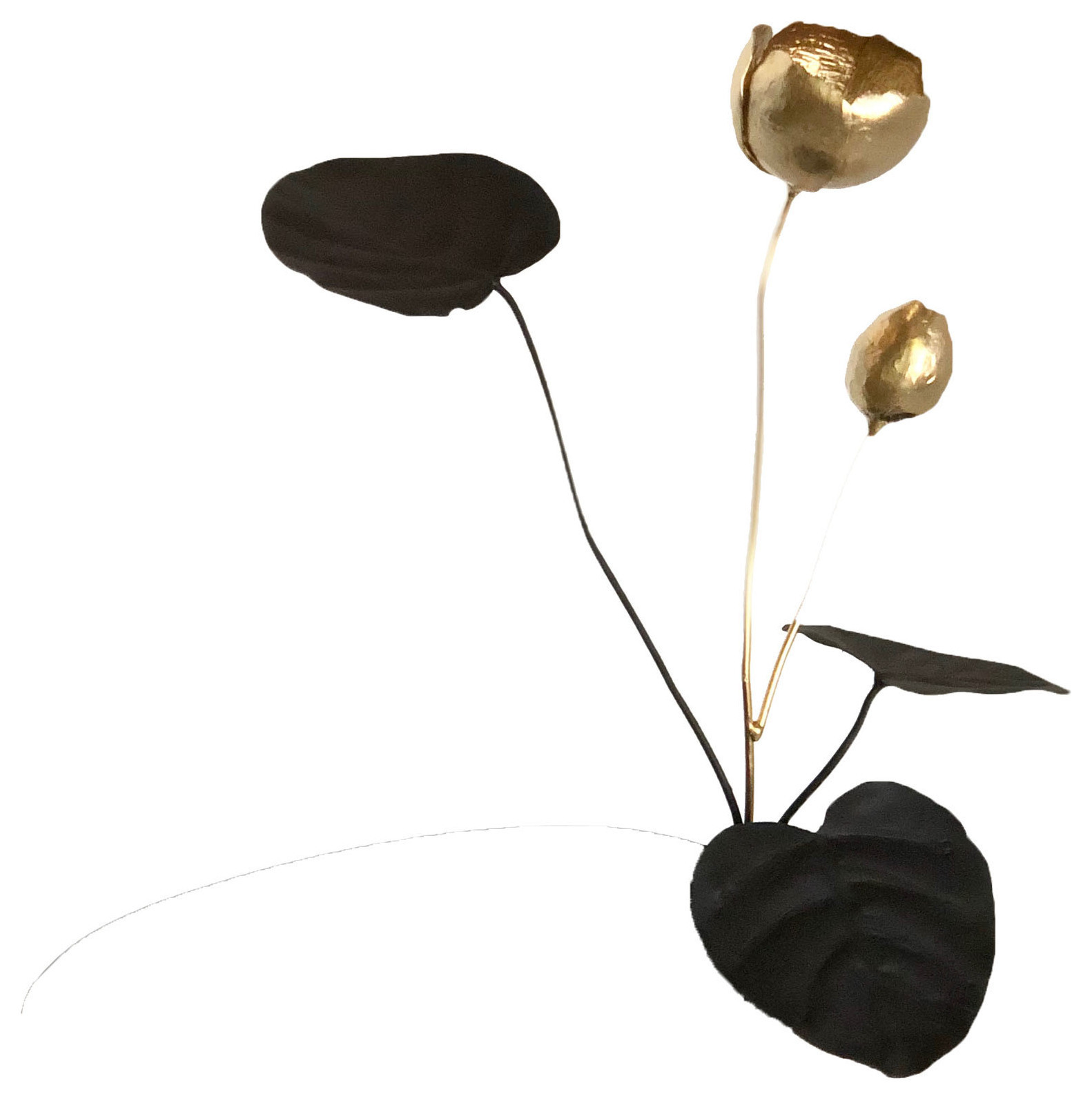 flora (по предзаказу за 10 дней)